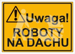 UWAGA! ROBOTY NA DACHU