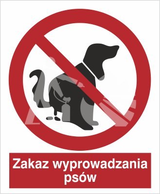 ZAKAZ WYPROWADZANIA PSÓW - płyta sztywna