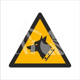 W13 – OSTRZEŻENIE PRZED ZŁYM PSEM