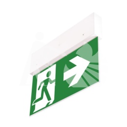 Oprawa oświetlenia ewakuacyjnego DIRECTO S M 3H MT